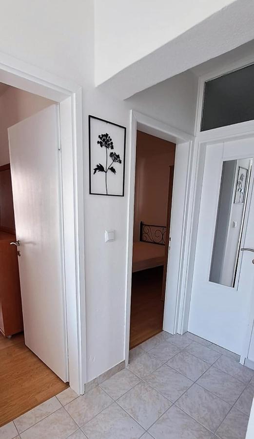 Apartment Anchor セリア エクステリア 写真