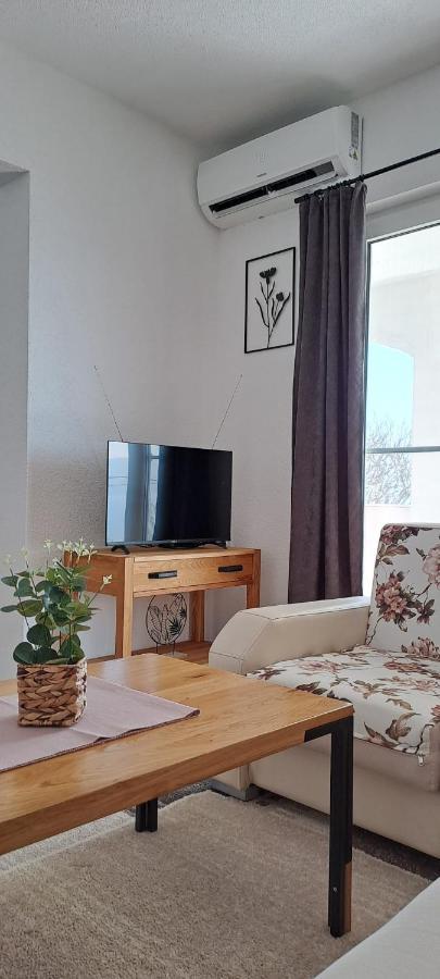 Apartment Anchor セリア エクステリア 写真